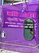 Tamco Paint Purple Pop Pearl