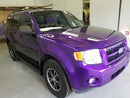 Tamco Paint Purple Pop Pearl