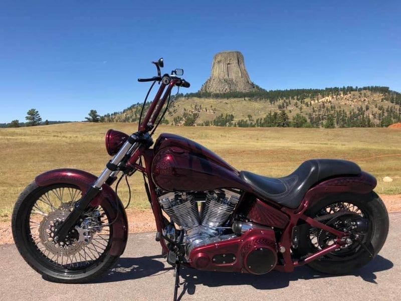 Tamco Paint Rock It Red on Harley Davidson