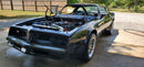 Tamco Paint Sinister Triple Reboot Purple on 1980 Pontiac