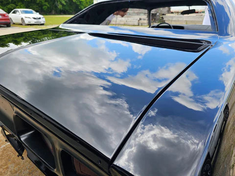 Tamco Paint Sinister Triple Reboot Purple in 1973 Dodge Challenger