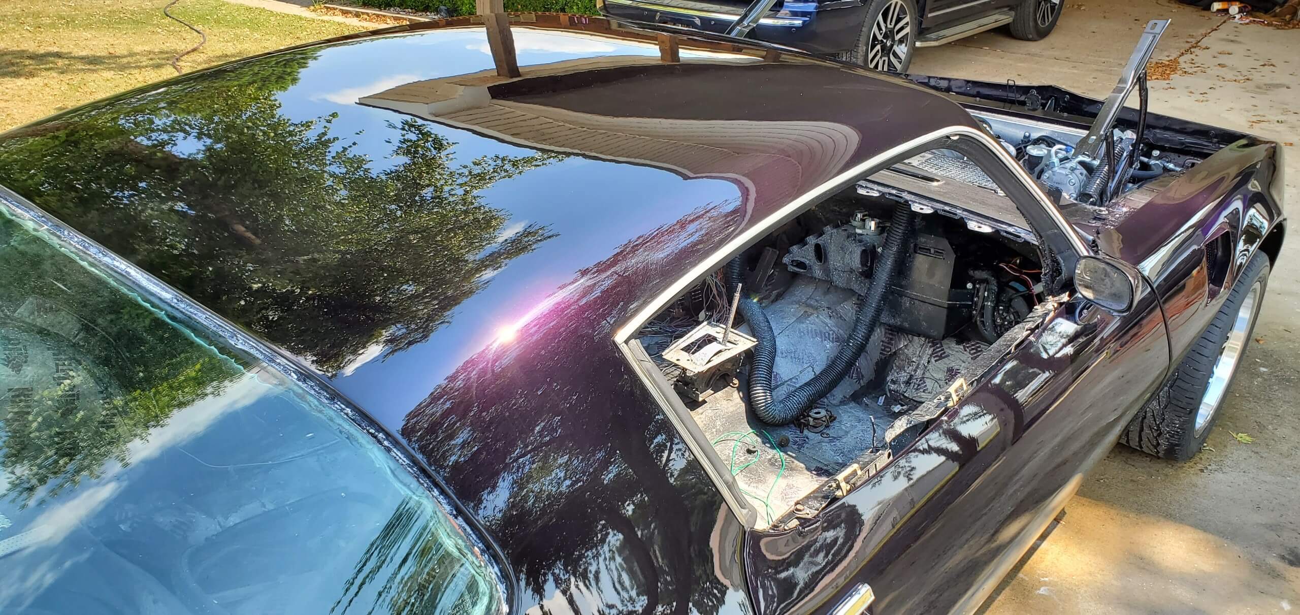 Tamco Paint Sinister Triple Reboot Purple on 1980 Pontiac