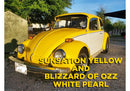 Blizzard Of Ozz White Pearl