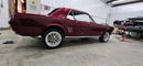 Tamco Paint Sangria on Ford Mustang
