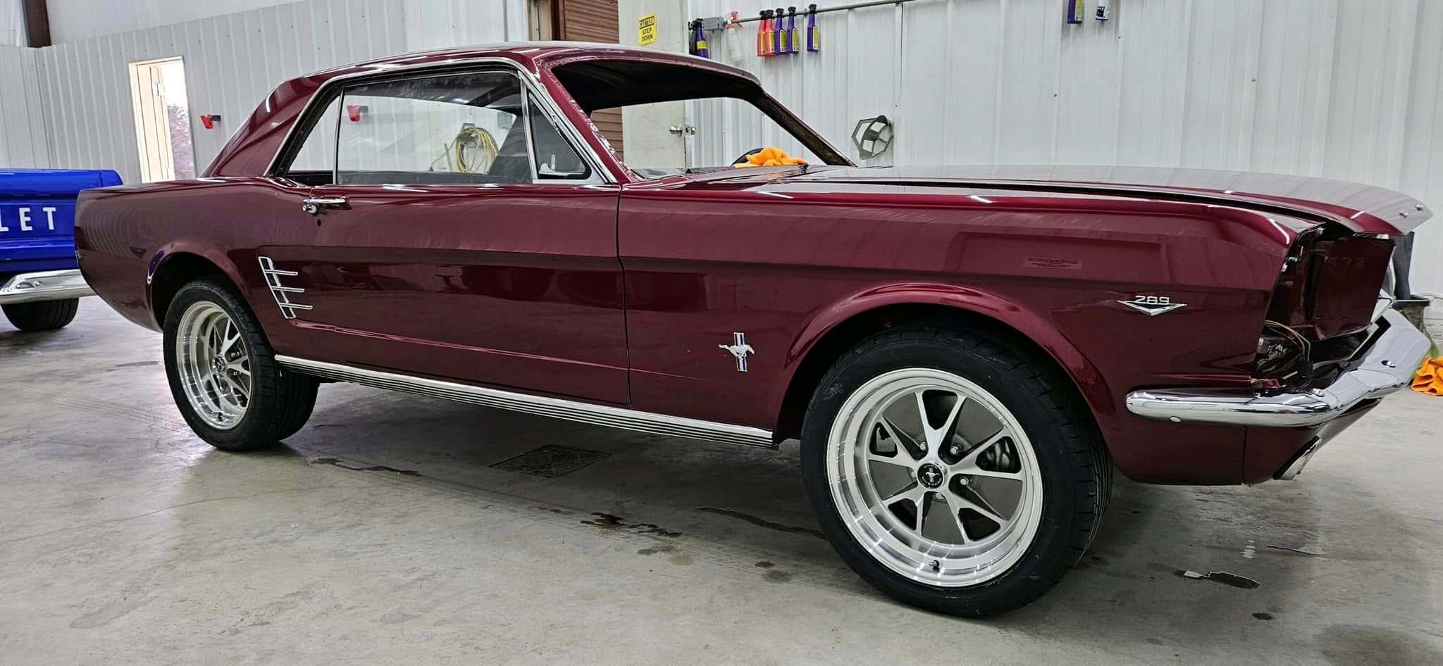 Tamco Paint Sangria on Ford Mustang