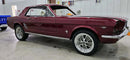 Tamco Paint Sangria on Ford Mustang