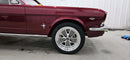 Tamco Paint Sangria on Ford Mustang