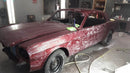 Tamco Paint Sangria on Ford Mustang