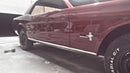 Tamco Paint Sangria on Ford Mustang