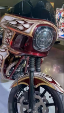 Tamco Paint Sasparilla Candy Concentrate on Harley-Davidson FXR