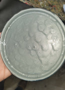 Light Gray Fern OEM Basecoat