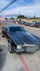 Tamco Paint Secret Silver on Ca