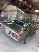 Tamco Paint Secret Silver on Car