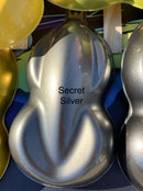 Tamco Paint Secret Silver on Speed Shape
