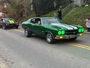 Tamco Paint Shamrock Green on 1970 Chevrolet Chevelle