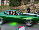 Tamco Paint Shamrock Green on 1970 Chevrolet Chevelle