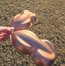 Tamco Paint Custom Color Shiny Penny Pearl 