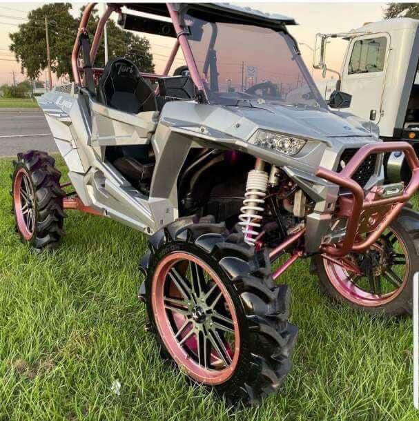 Tamco Paint Slick Silver Metallic in 2016 Polaris RZR