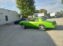 Tamco Paint Sublime Green in 1978 Chevrolet Monte Carlo
