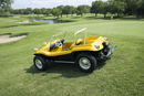 Tamco Paint Sunsation Yellow on Meyers Manx