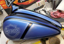 Tamco Paint Tamco Intensity White on Motorcycle Tank