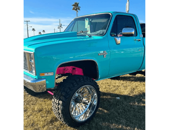 Tamco Paint Rockin Robin in 2002 Chevrolet C/K Pick Up Truck