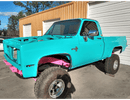 Tamco Paint Rockin Robin in 2002 Chevrolet C/K Pick Up Truck