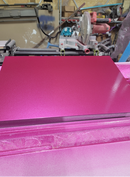 Tamco Paint You Cant Sit With Us Pink on 2002 Miller 4 Link Dragster