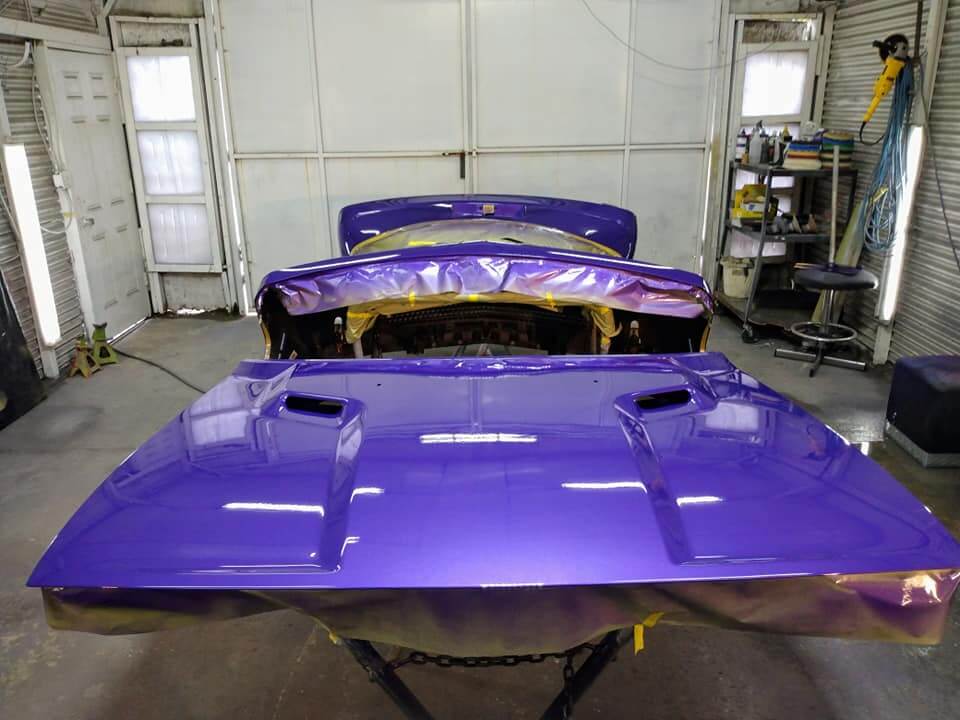 Tamco Throwback Plum Crazy car hoods