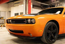 Tamco Paint Dodge Challenger Tamgerine Pearl 