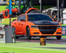 Tamco Paint Tiger Lily in 2018 Dodge Charger RT