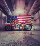 Tamco Paint Harley Davidson Toxic Sunburst