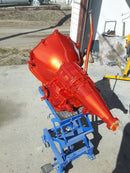 Tamco Paint  Motorcycle Tank Toxic Sunburst