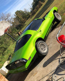 Tamco Paint Pontiac Firebird Toxicity