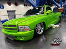 Tamco Paint 1999 Dodge Dakota Toxicity