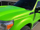 Tamco Paint 1999 Dodge Dakota Toxicity