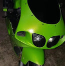 Tamco Paint Kawasaki Ninja ZX- 7R Toxicity 