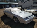 Tamco Paint Toyota Ultra White Pearl on Chevrolet Camaro