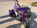 Tamco Paint Harley Davidson Violent Violette