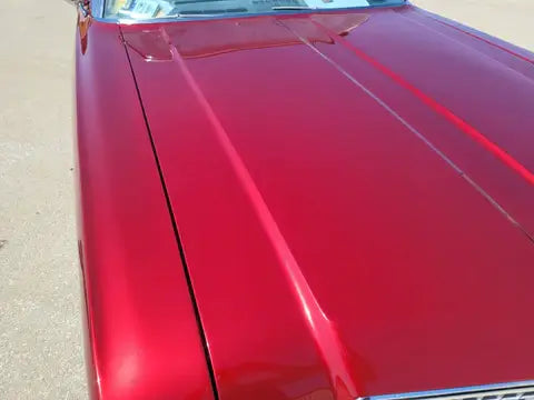 VIRAL RED