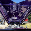 Tamco Paint Violent Violette Pontiac Transam