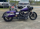 Tamco Paint Harley Davidson Violent Violette