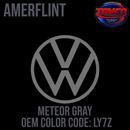 Tamco Paint Volkswagen Meteor Gray Code LY7Z OEM Amerflint