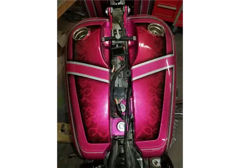 Tamco Paint Harley Davidson You Cant Sit With Us Pink 