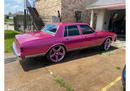 Tamco Paint 1973 Chevrolet Caprice You Cant Sit With Us Pink