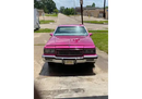 Tamco Paint 1973 Chevrolet Caprice You Cant Sit With Us Pink