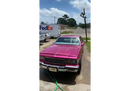 Tamco Paint 1973 Chevrolet Caprice You Cant Sit With Us Pink