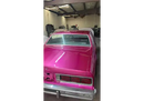 Tamco Paint 1973 Chevrolet Caprice You Cant Sit With Us Pink