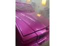 Tamco Paint 1973 Chevrolet Caprice You Cant Sit With Us Pink