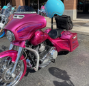 Tamco Paint You Cant Sit With Us Pink in Harley-Davidson Street Glide